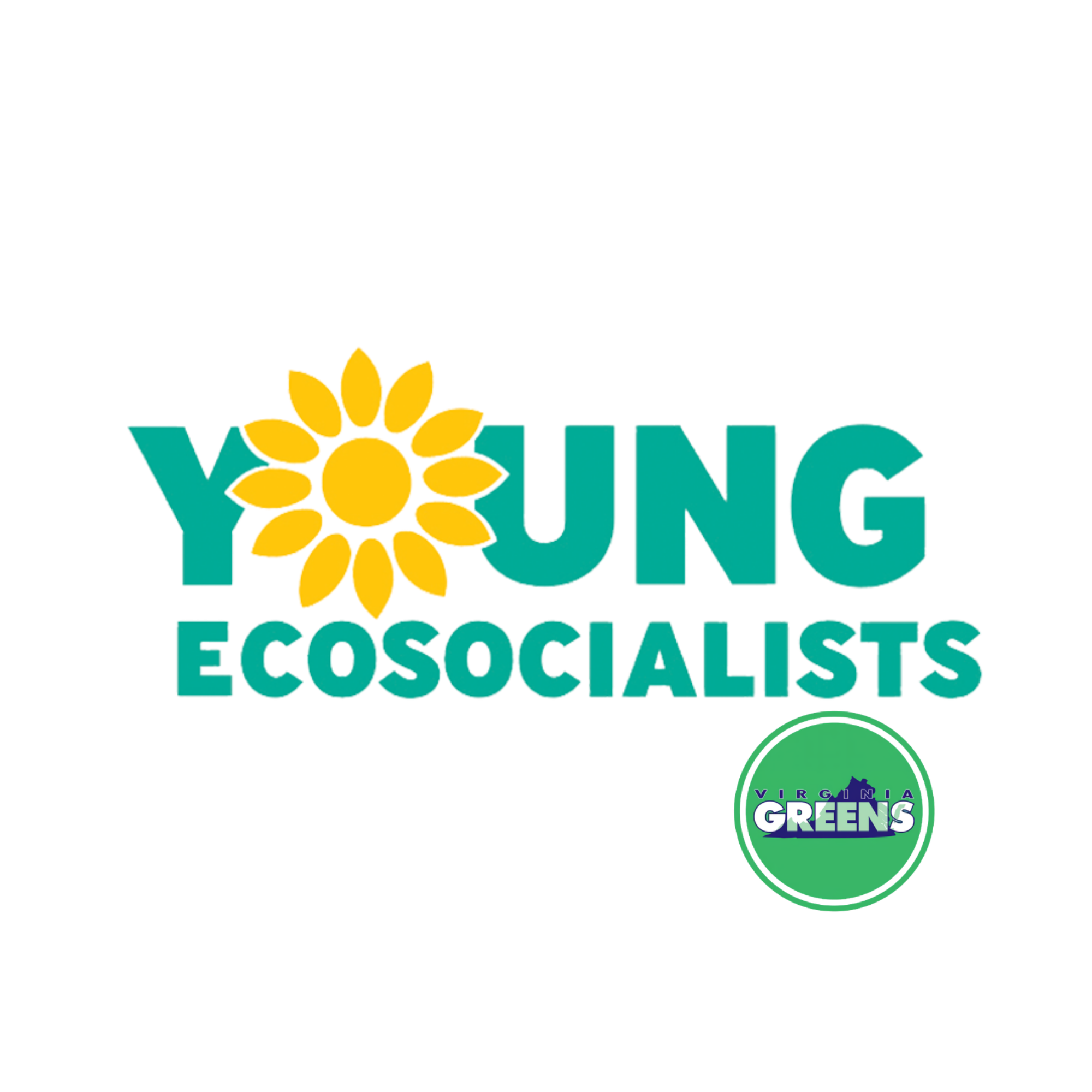 Virginia Young Ecosocialists logo: a sunflower inside the word YOUNG